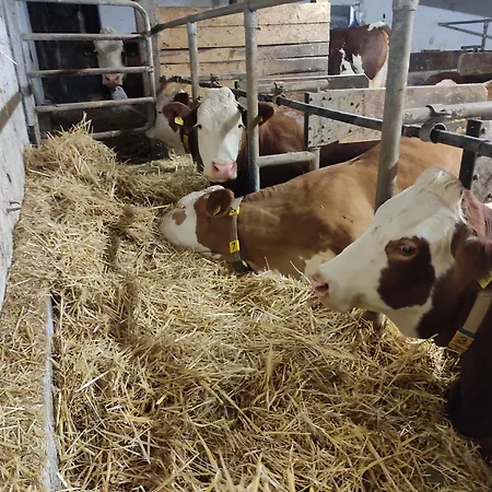 Apartmán Kafahof Waldenstein (Gmund)