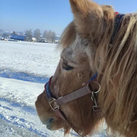 Kafahof Waldenstein (Gmund)