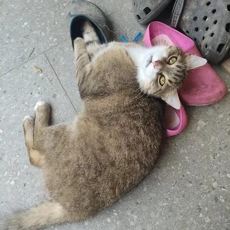 Kafahof Waldenstein (Gmund)