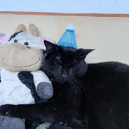 Apartmán Kafahof Waldenstein (Gmund)