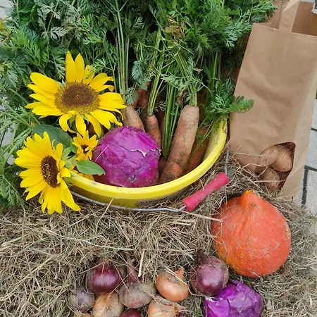 Kafahof * Waldenstein (Gmund)