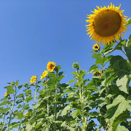 Kafahof * Waldenstein (Gmund)