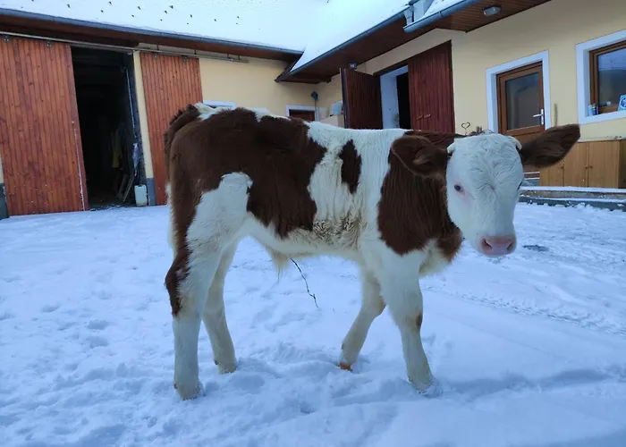 Kafahof * Waldenstein (Gmund)