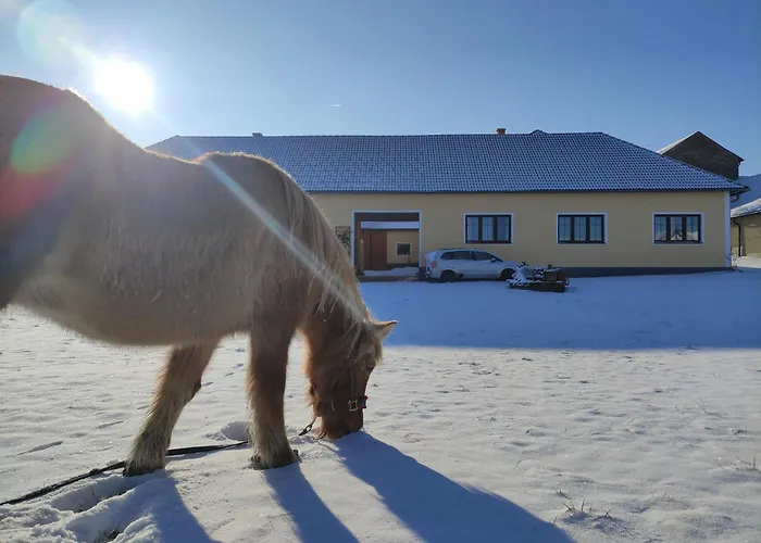 Kafahof Apartment Waldenstein (Gmund)