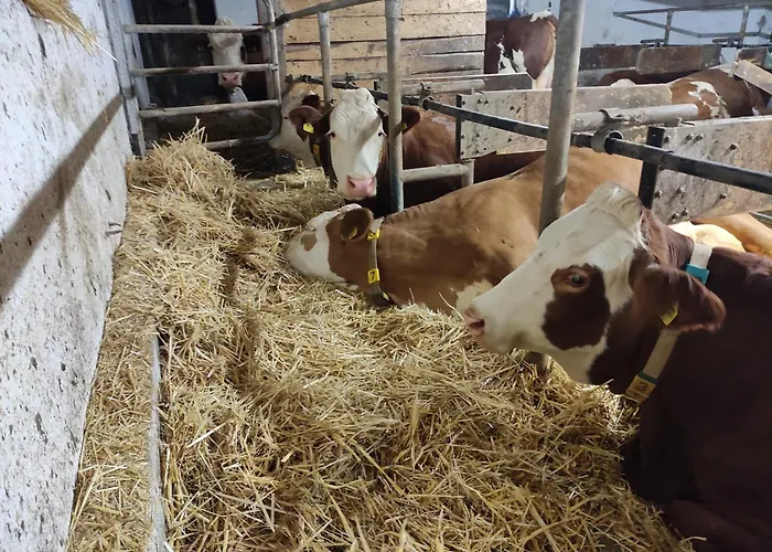 Apartment Kafahof Waldenstein (Gmund)