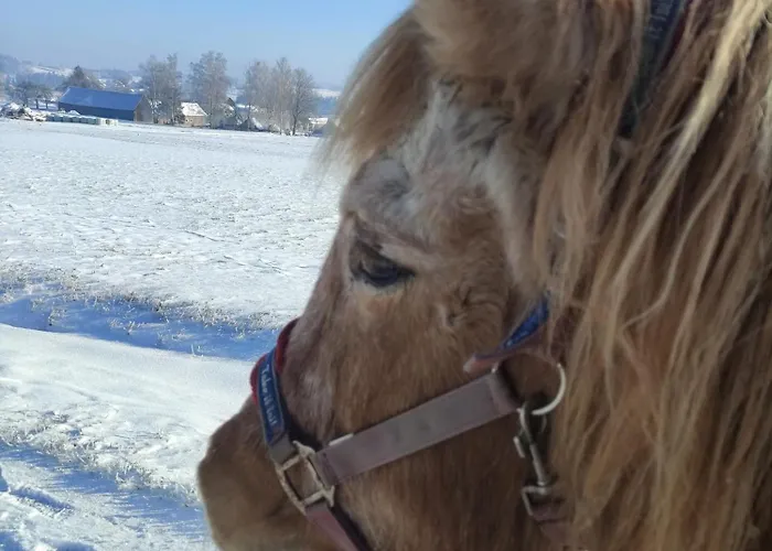 Kafahof Waldenstein (Gmund)