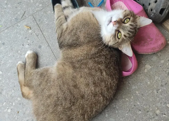 Kafahof Waldenstein (Gmund)