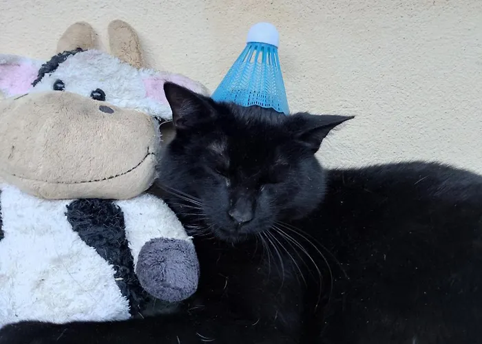 Apartment Kafahof Waldenstein (Gmund)