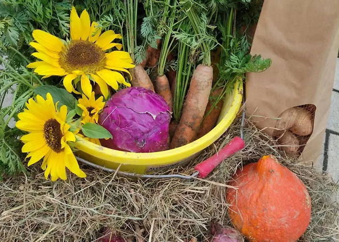 Kafahof * Waldenstein (Gmund)