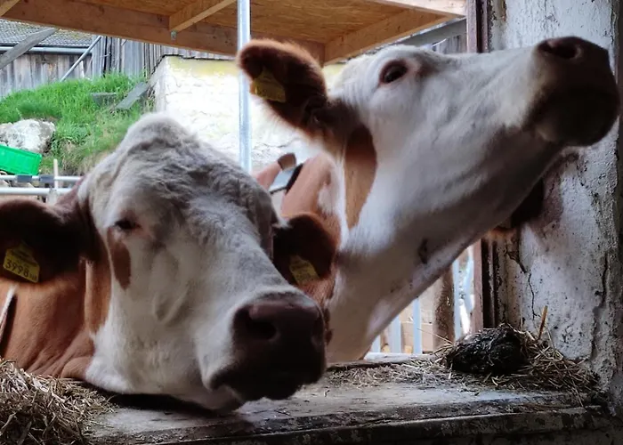 Apartment Kafahof Waldenstein (Gmund)